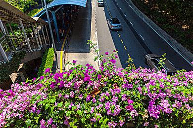 《怪物猎人物语2》新版本更新 Switch现支持全区中文